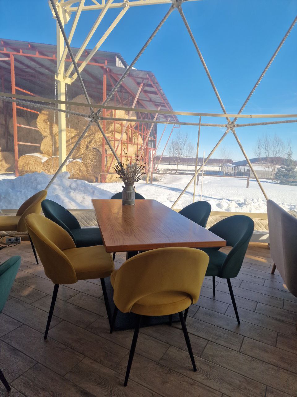 Вива Сперанза, г. Самара